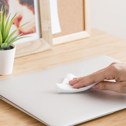 Wet wipes made of pla non-woven fabric