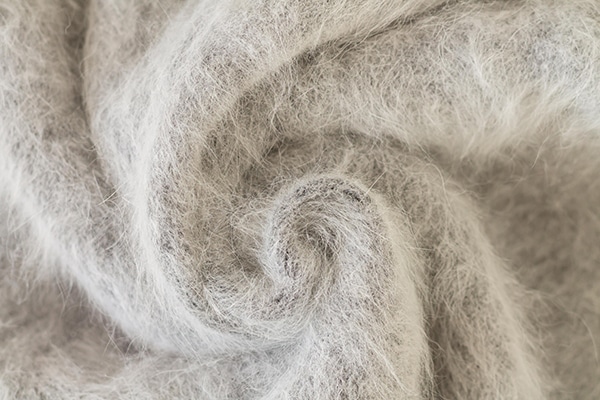 Wool for clothing